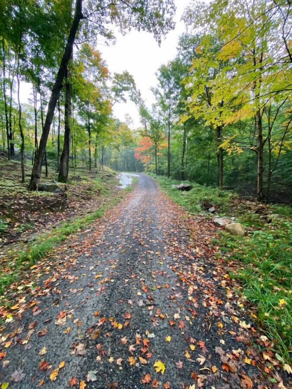 On the way to the Nature Trails