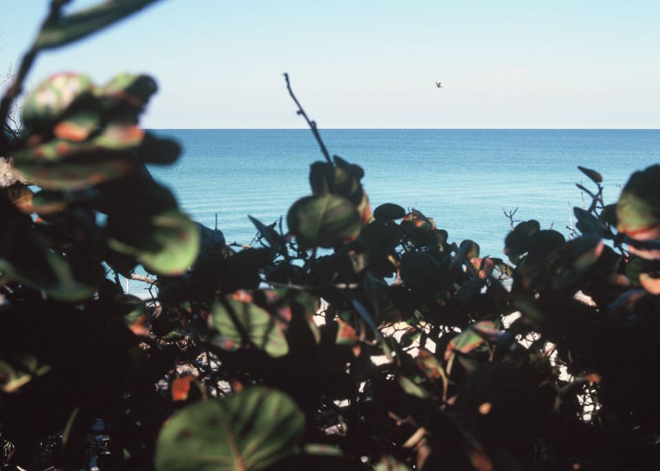 Caspersen Beach