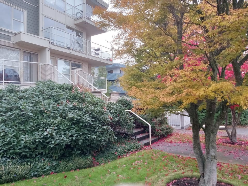 Lovely neighbourhood
