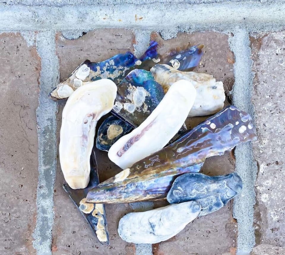 Local Beach Treasures