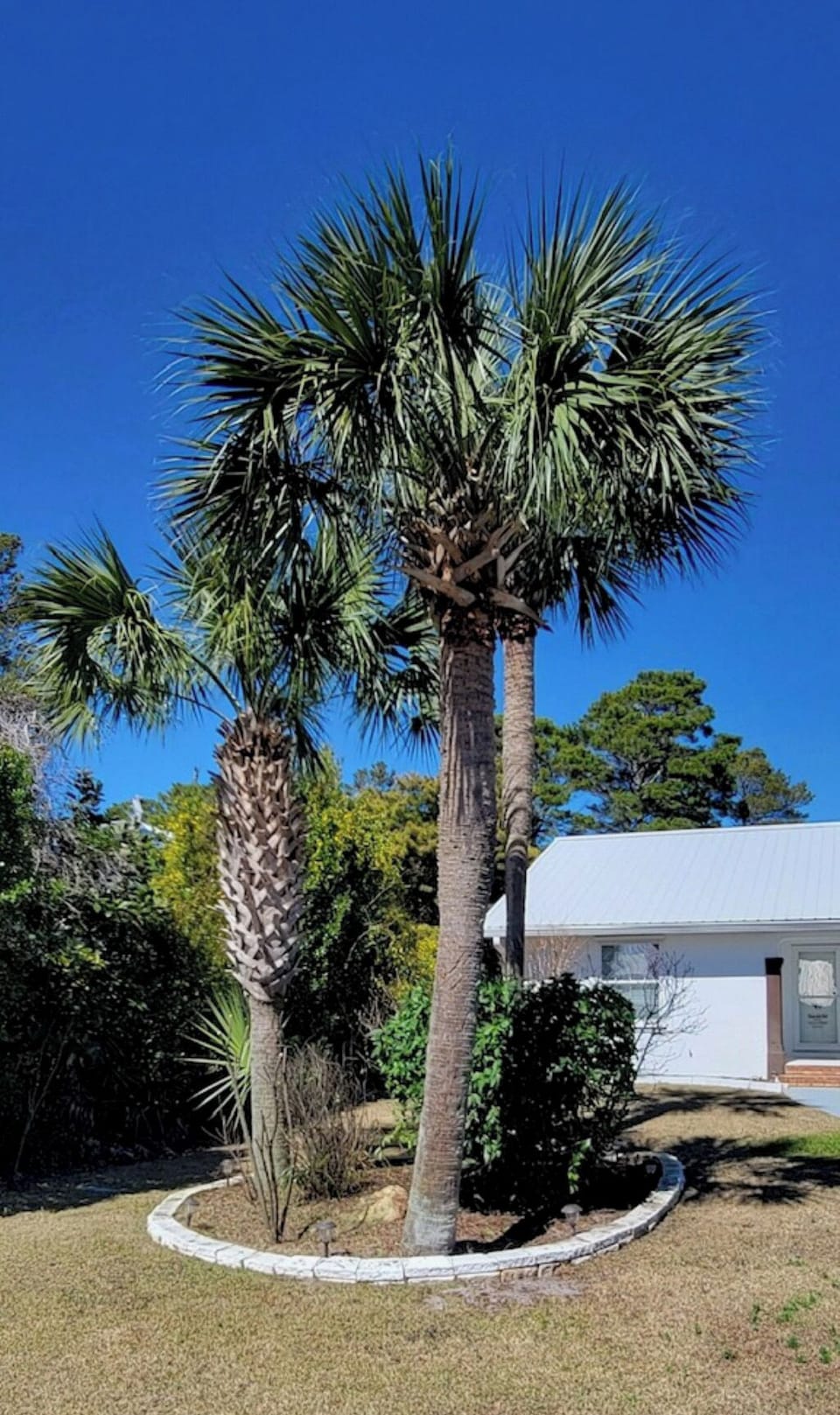 Tropical Landscaping