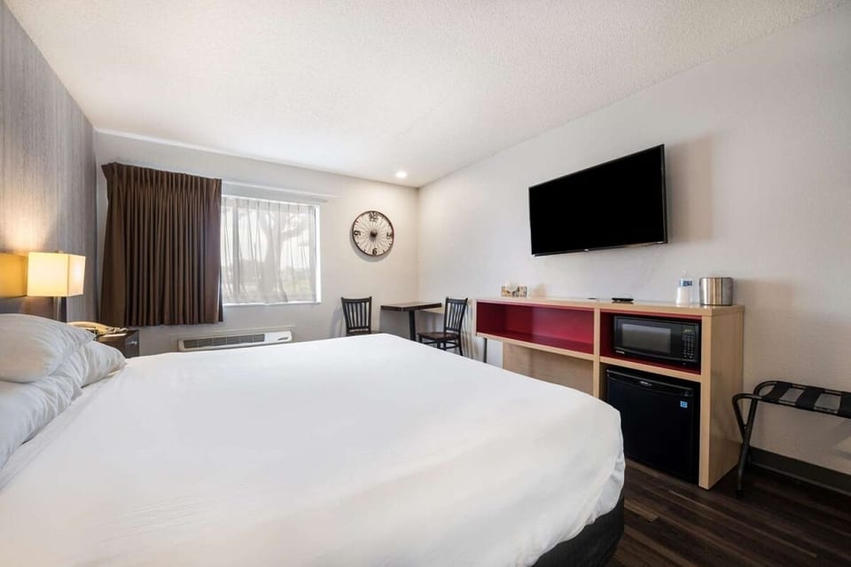 Settle in with in-room TV, microwave, and mini-fridge.