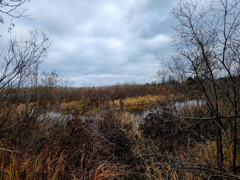 Blockhouse Creek next to the home
