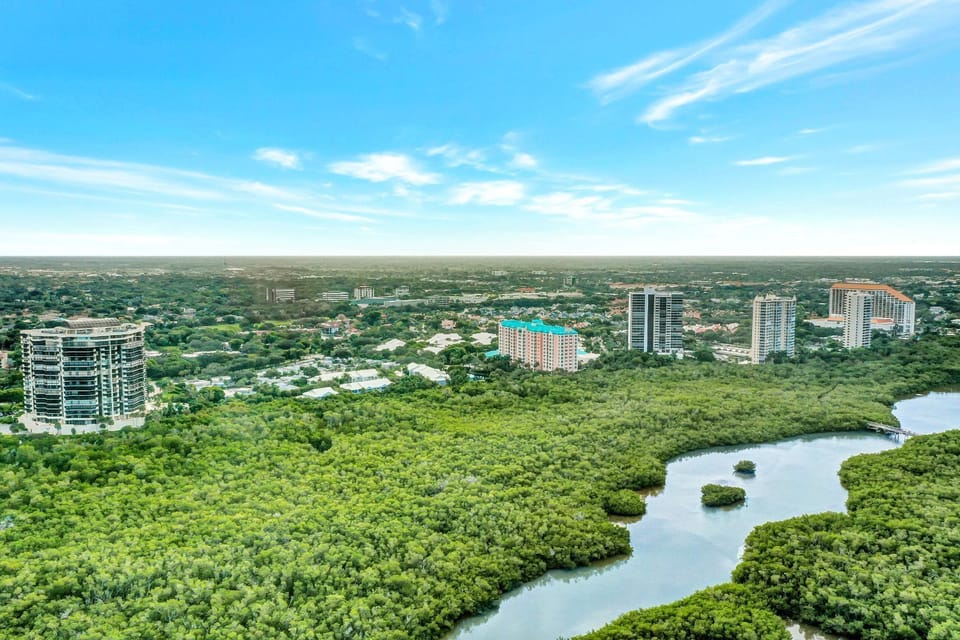 Aerial View of Mangroves