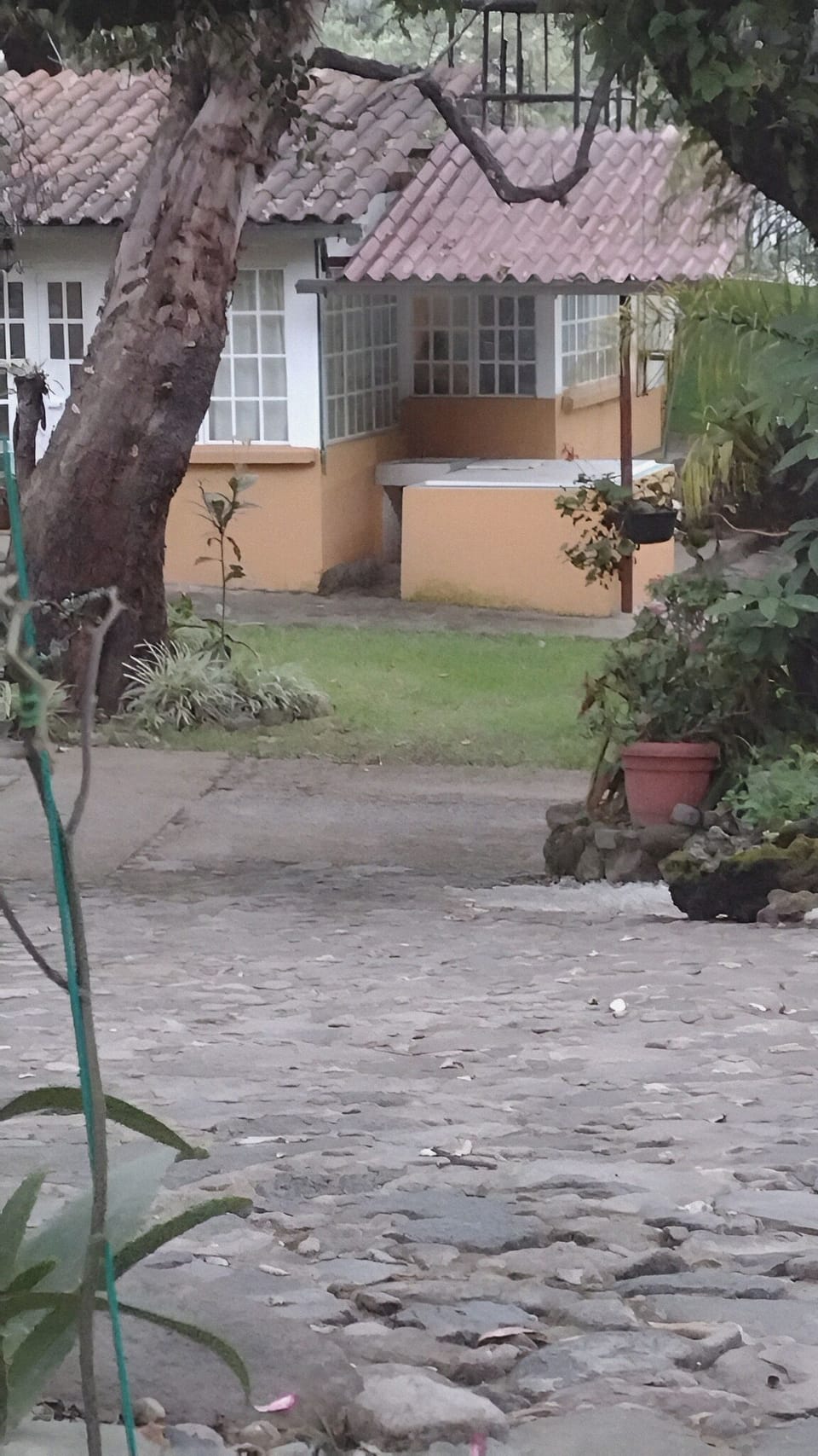 Property grounds