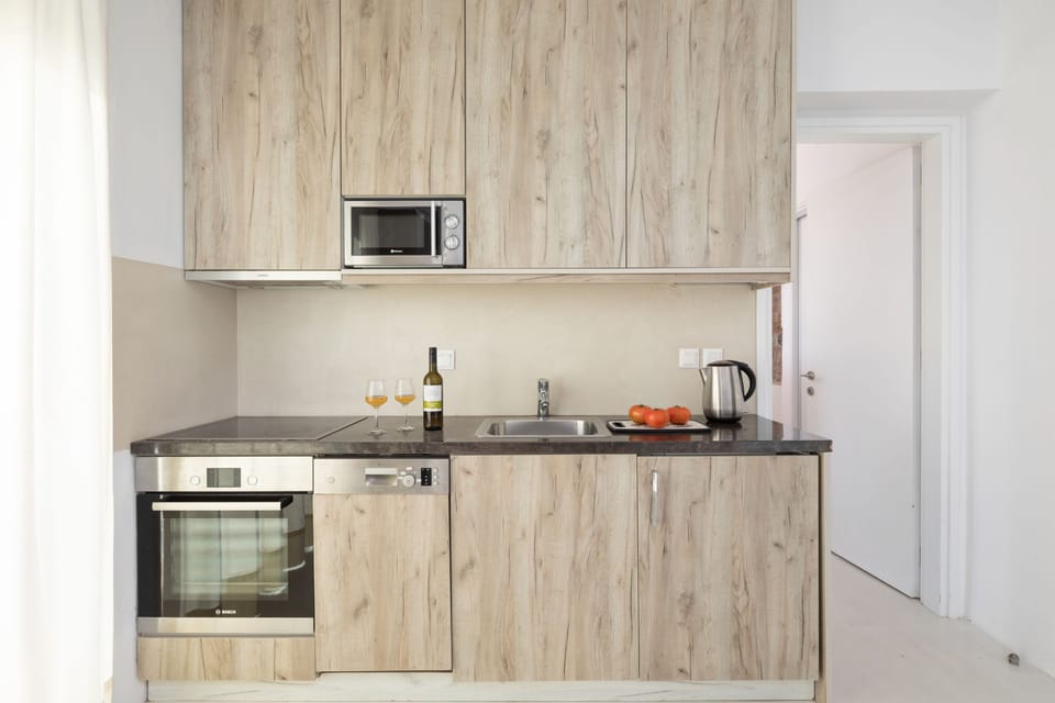 Contemporary style of kitchen