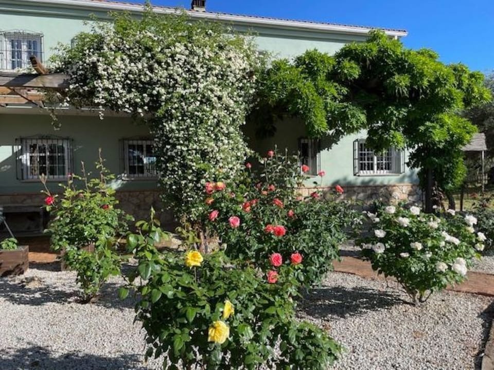 Entrance with pergola