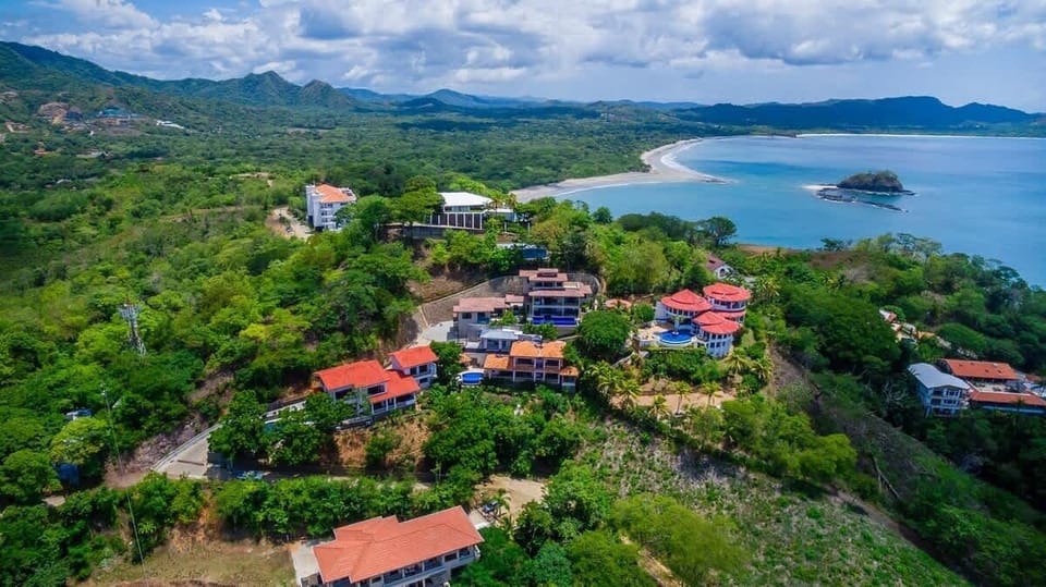 Aerial view flamingo area