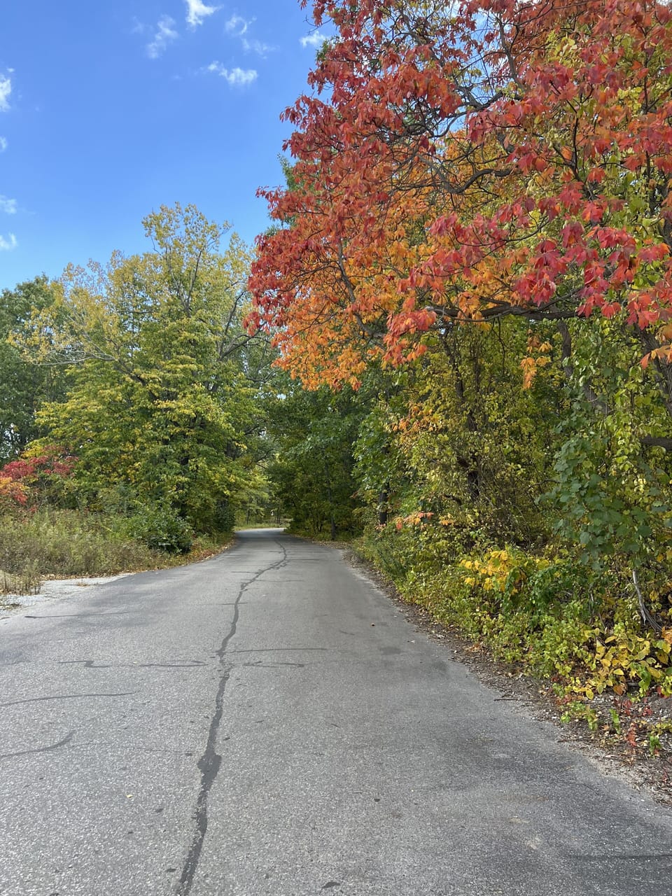 Beach community rear entrance