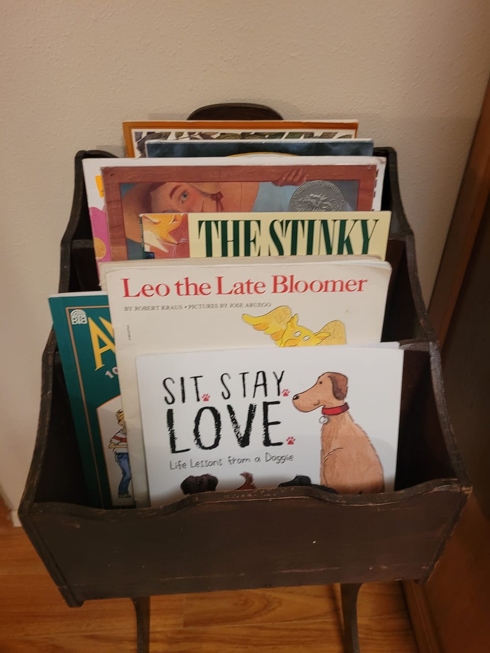 find kid's books in the boho room