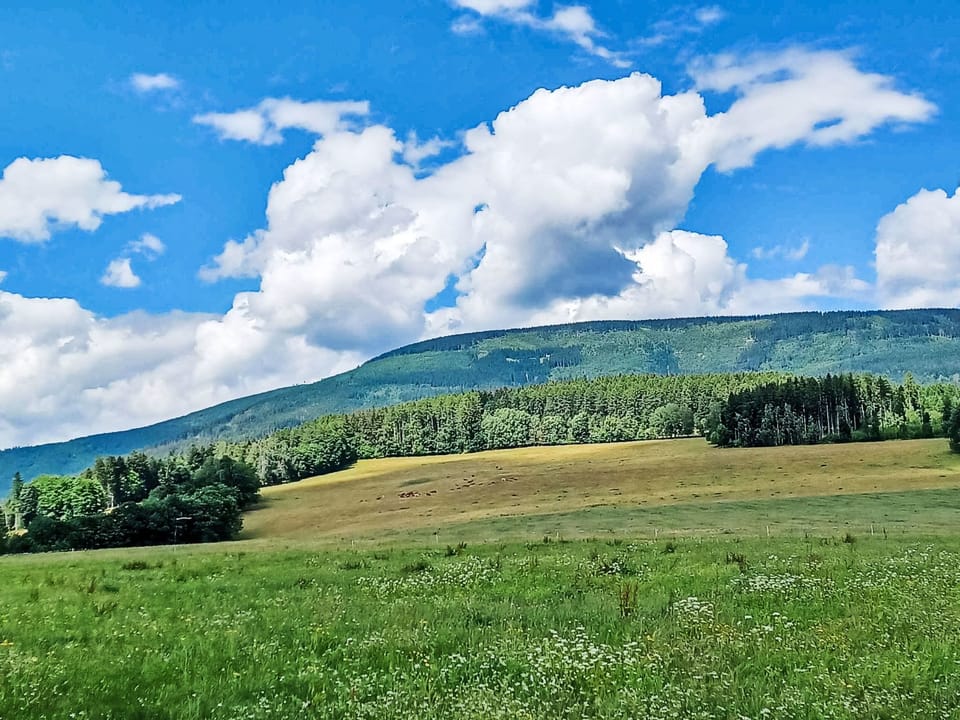 Place