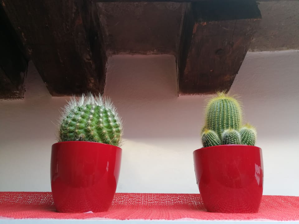 Interior detail