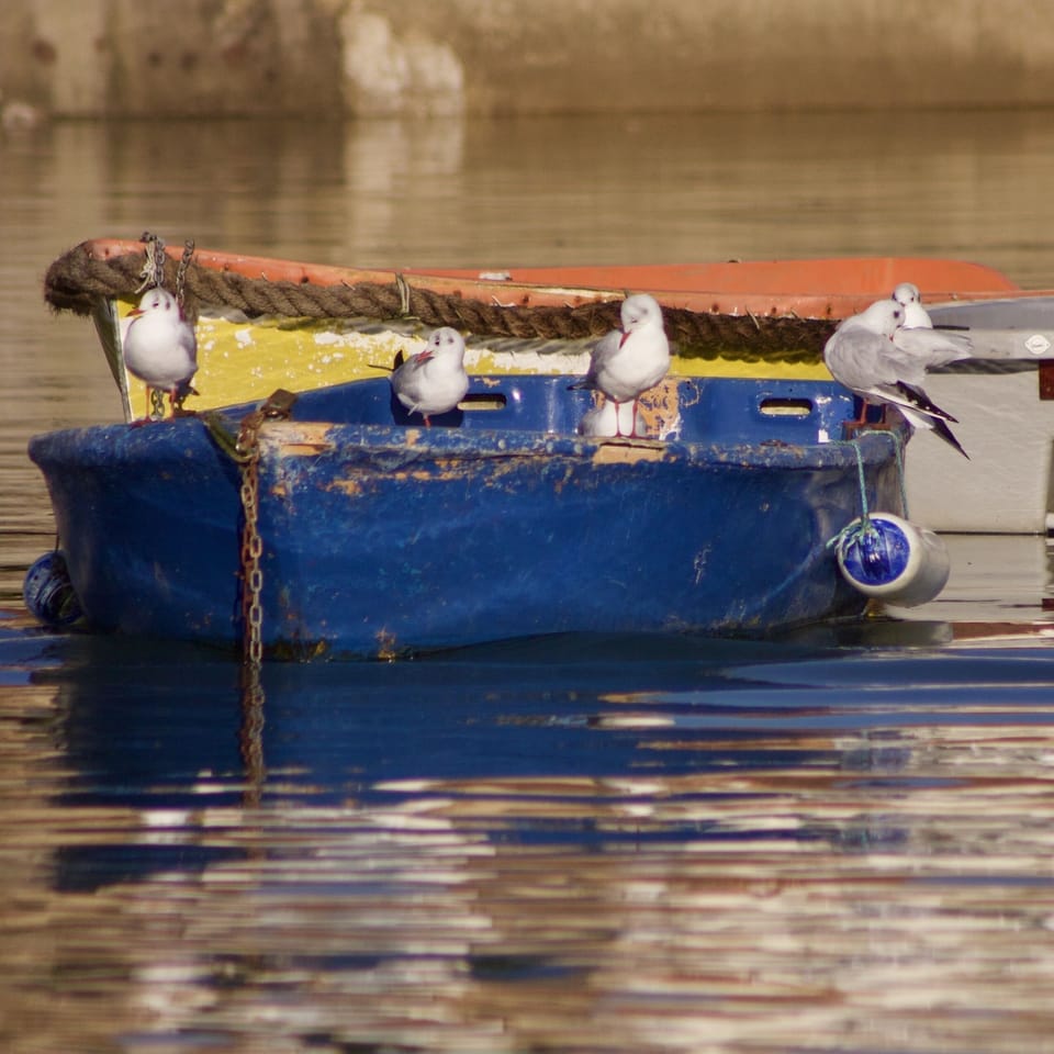 Always a photo opportunity