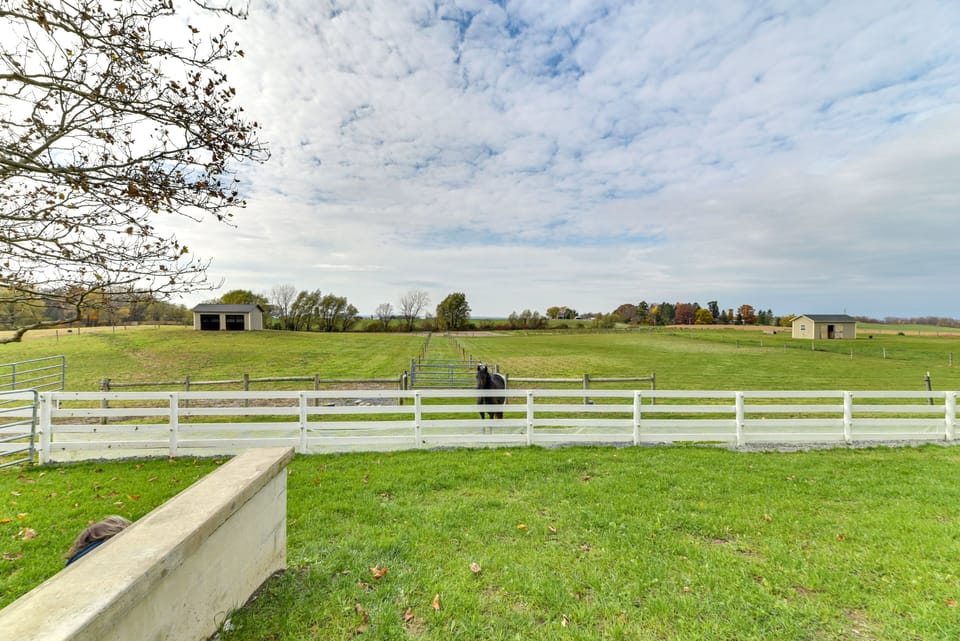 On-Site Horse Farm | Views