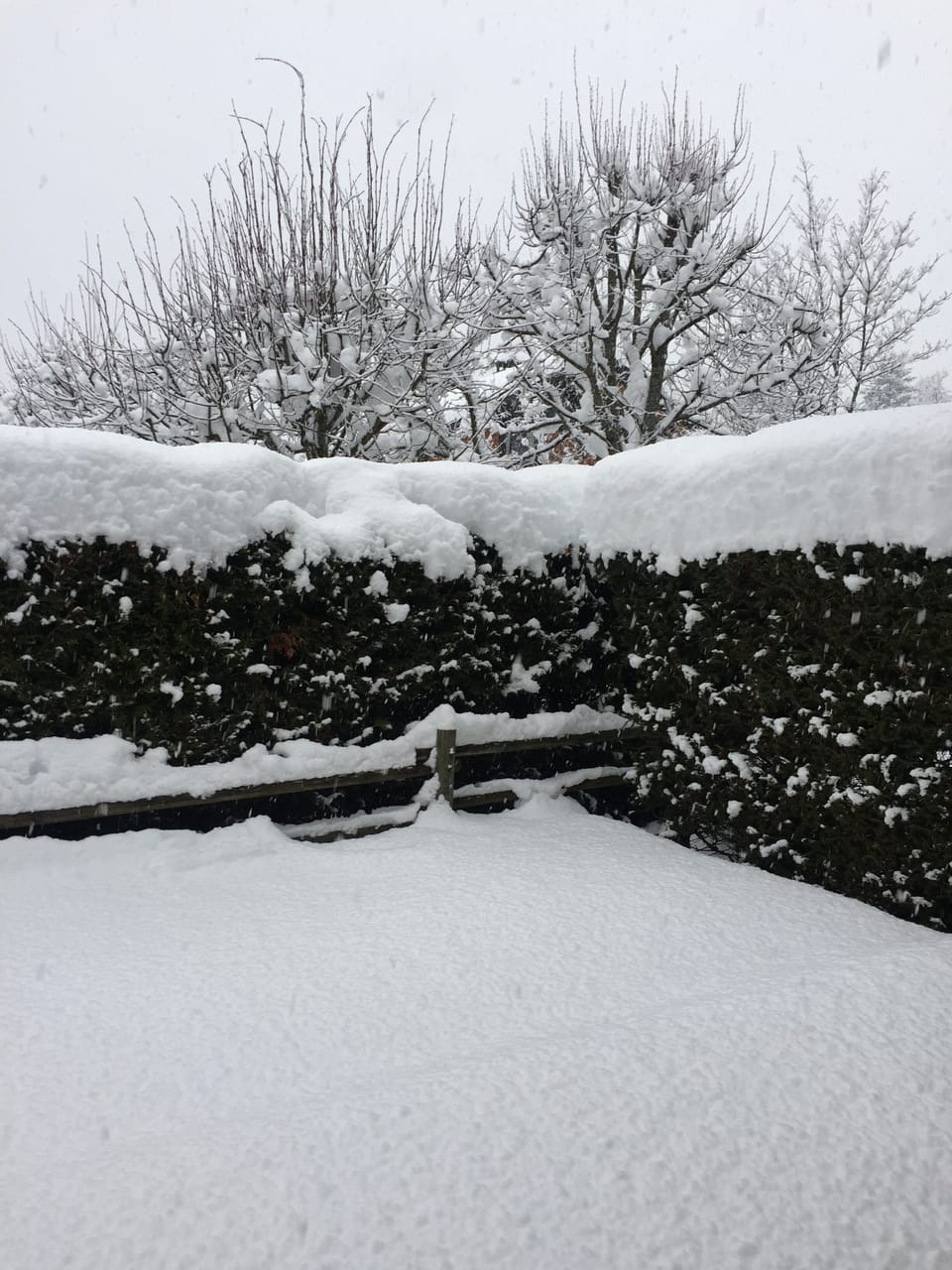 Chalet garden