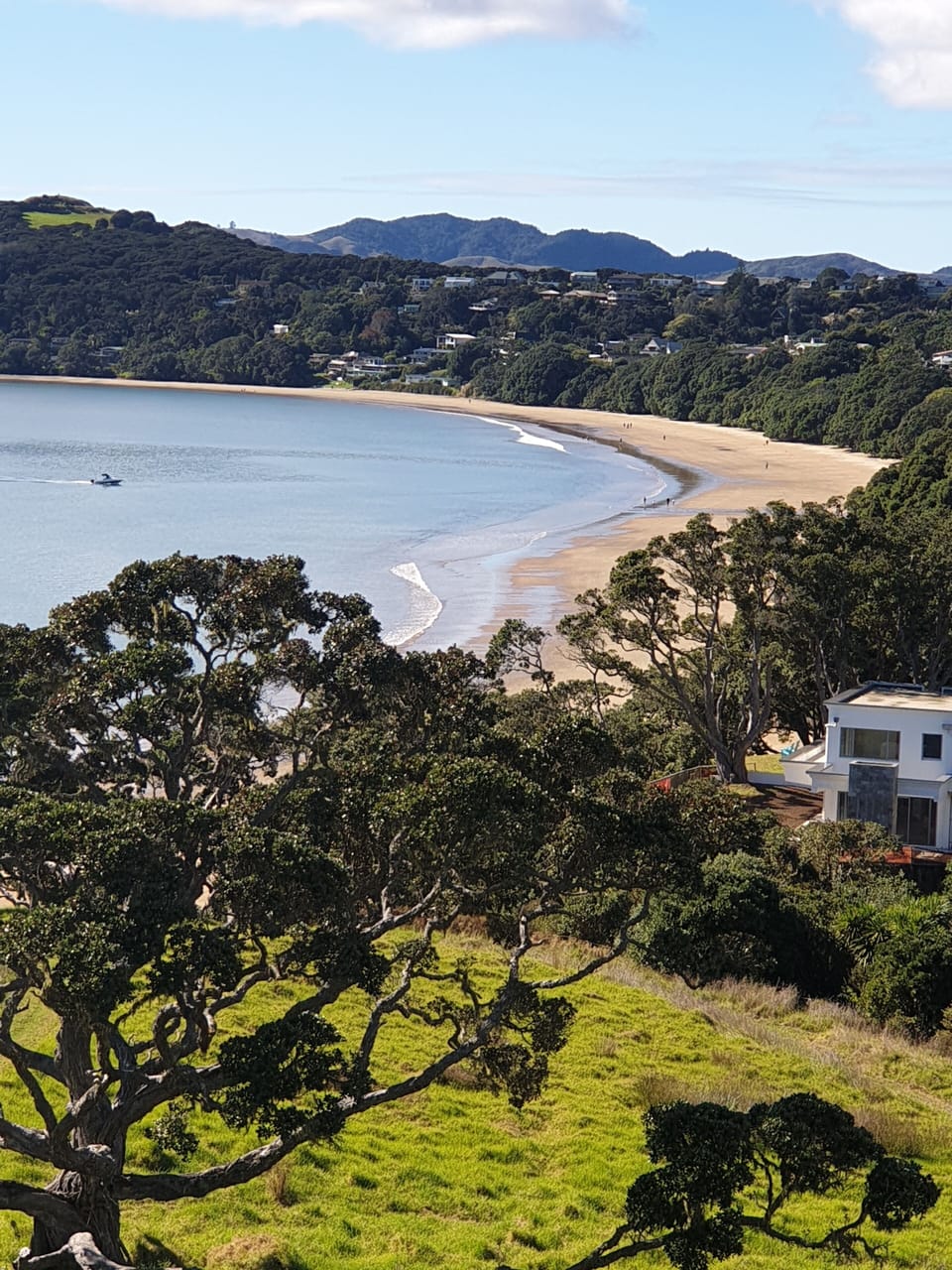 Coopers Beach from the walking track