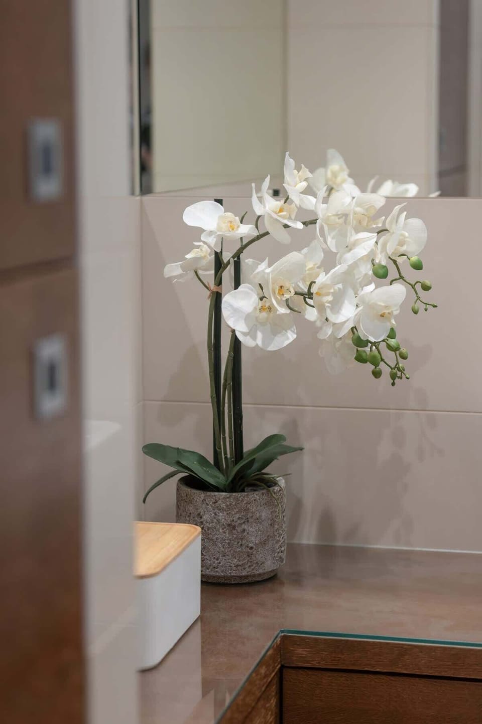 A close-up of a white orchid in the bathroom, placed on a wooden countertop.
