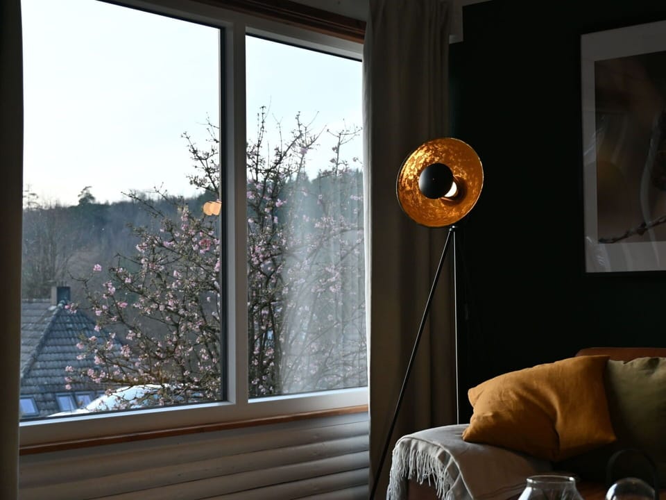 Brown, Window, Property, Picture Frame, Wood, Shade, Interior Design, Building, Comfort