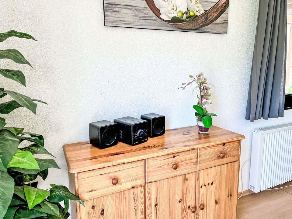 Electronic Device, Furniture, Interior Design, Loudspeaker, Home Appliance, Electronics, Room, Cabinetry, Wood Stain, Houseplant