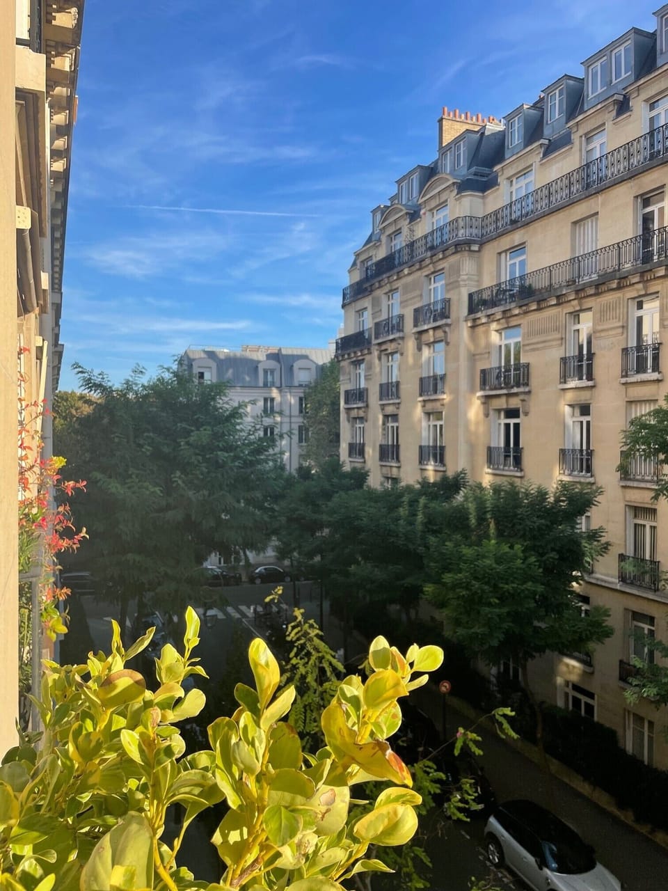 View from property