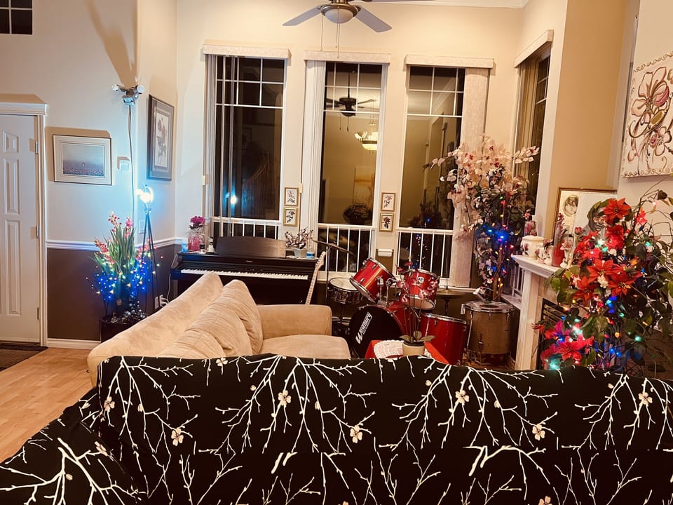Living Room Area