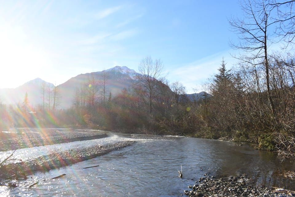 Looking south down the creek.