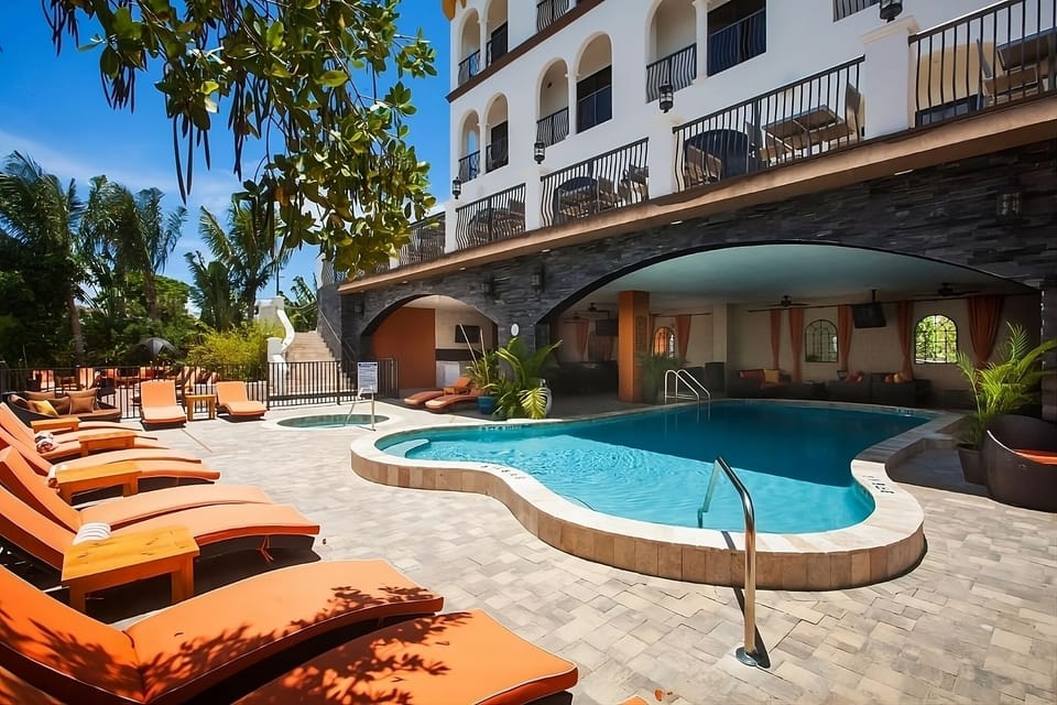 Lounge poolside in the sun with palm-framed resort serenity.