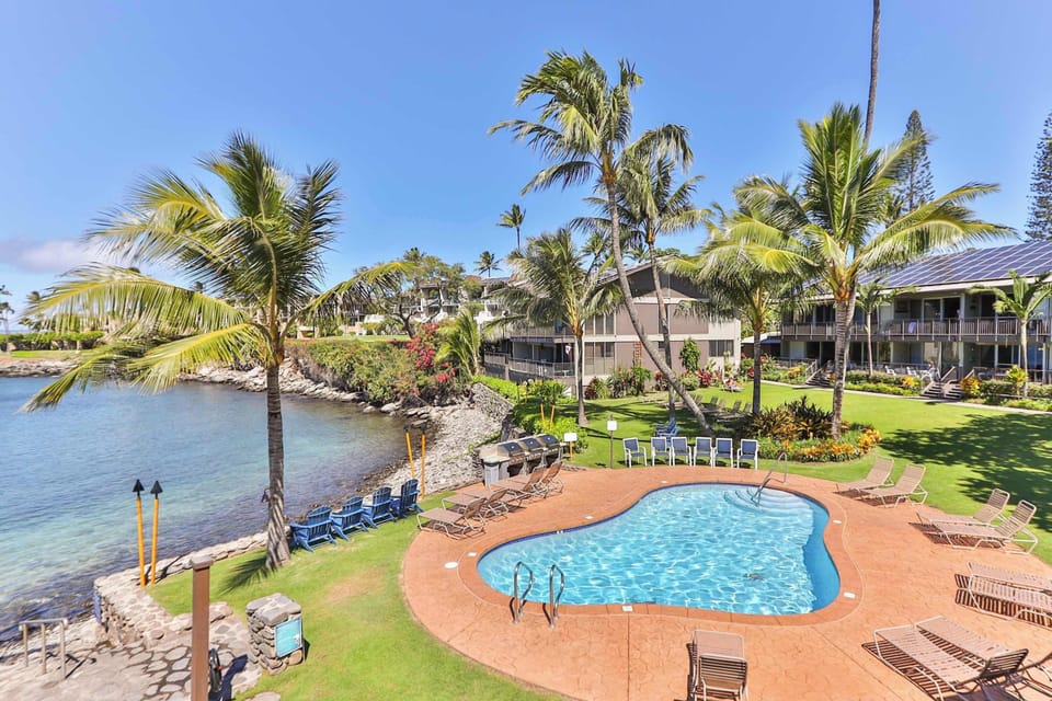 Tropical oceanfront retreat featuring a sparkling pool surrounded by swaying palms, lounge chairs, and stunning coastal views. Reference "pool" in your inquiry and get a free welcome gift through December 20th of 2025.