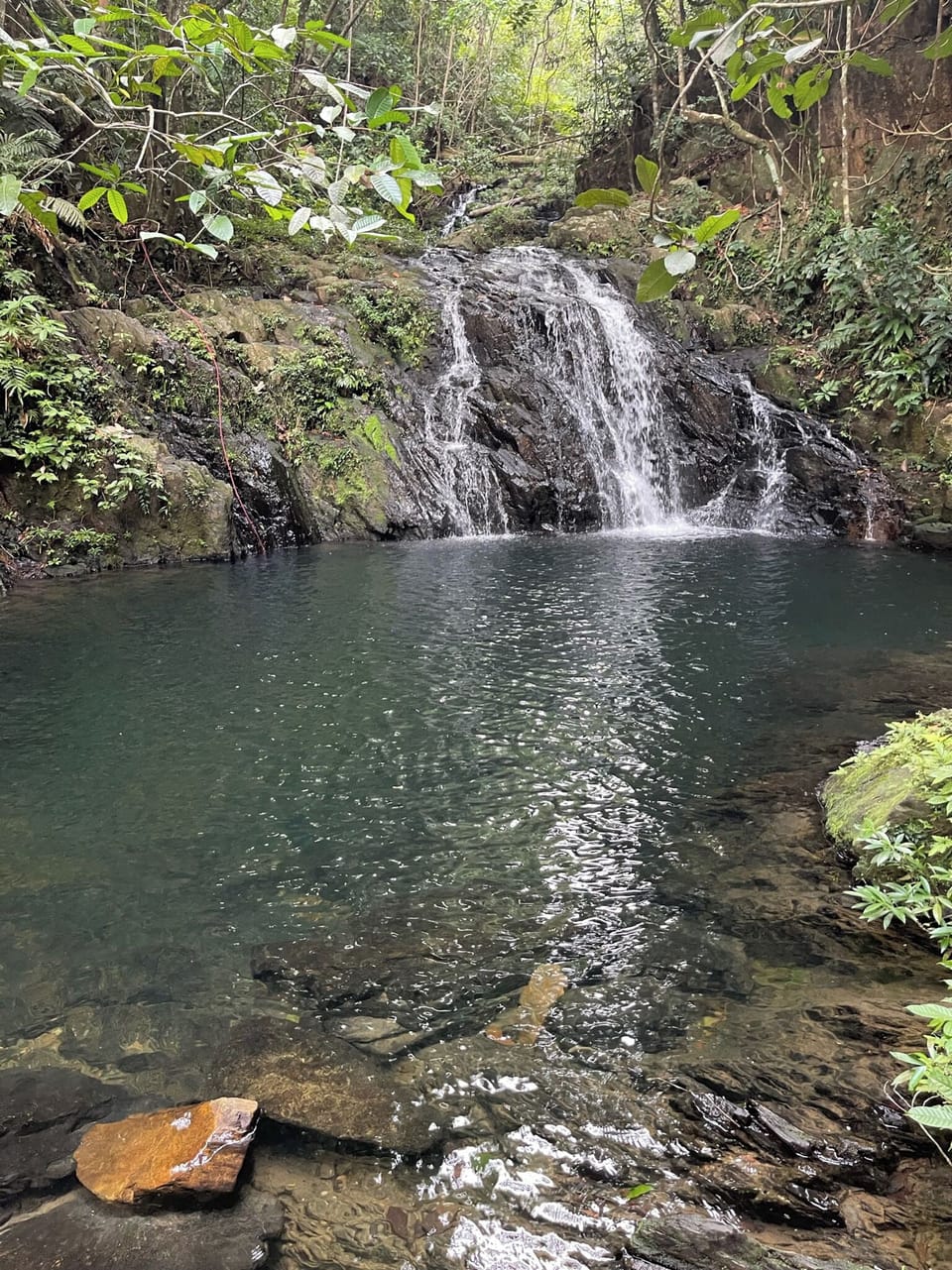 Mayflower Bocawina National Park - We can arrange this hike. 