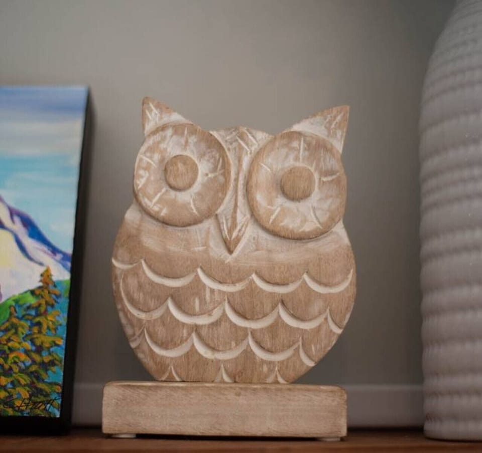 Owl decor.