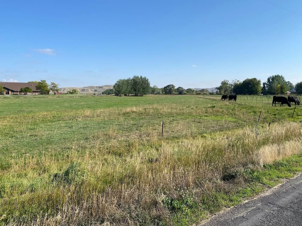 View from outside the building.