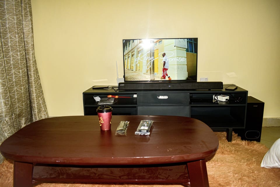 Living Room Area with Entertainment System