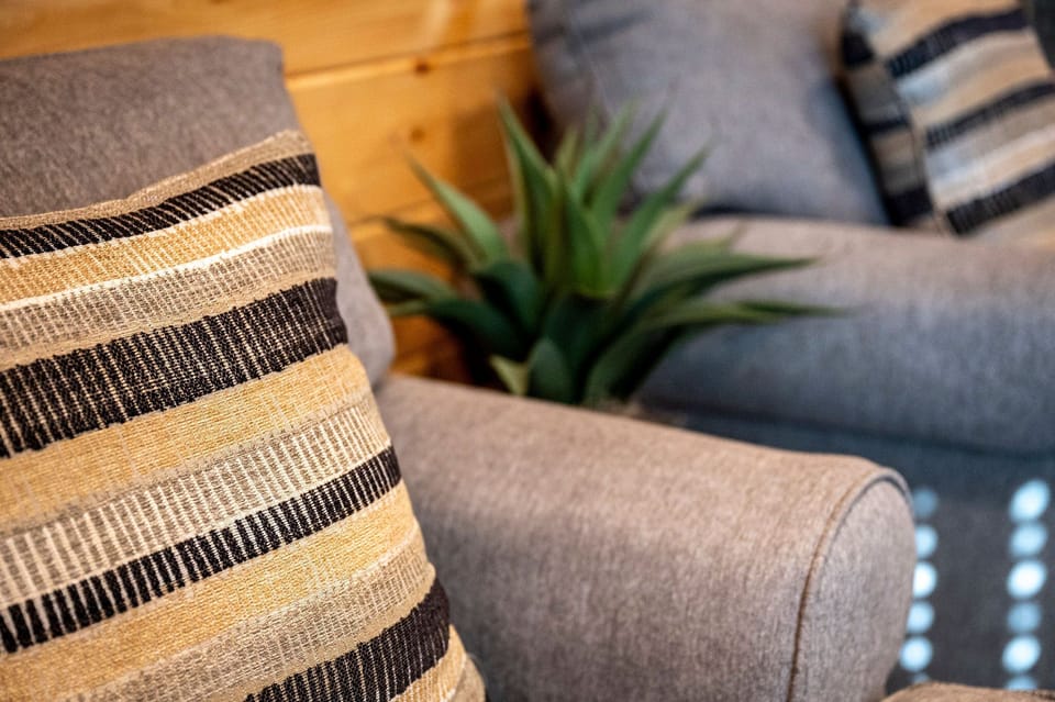 Rustic Modern Mountain Cabin's cozy living room