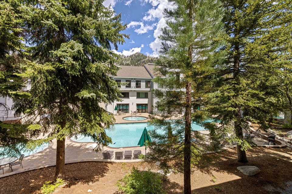 9-web-or-mls-PTL 207-49