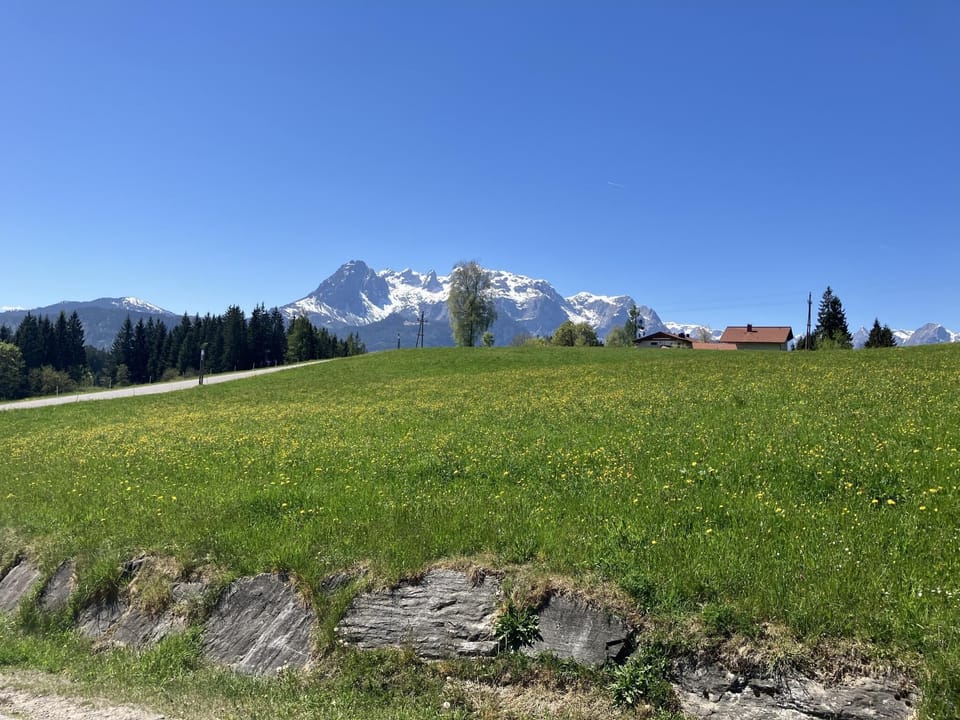 View from Holiday Home [summer]