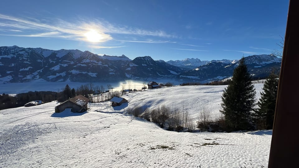 View from property