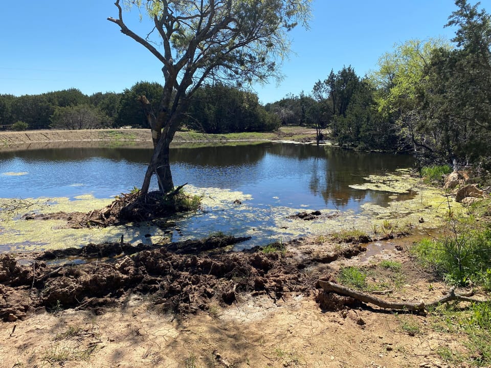 Pond on property - please no fishing we use this pond for dog training.