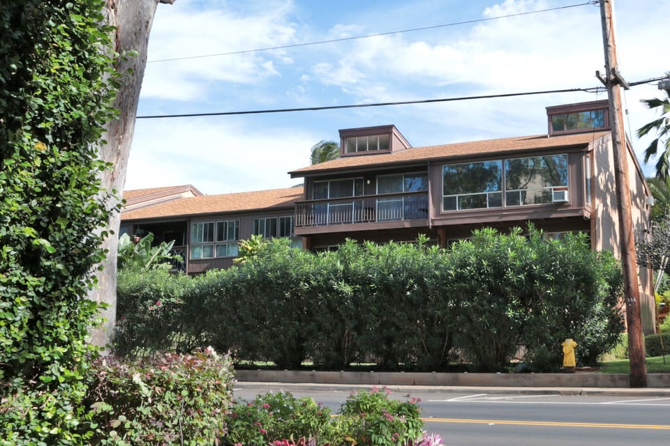 Street view of this complex. Only 7 units.  corner with glass front