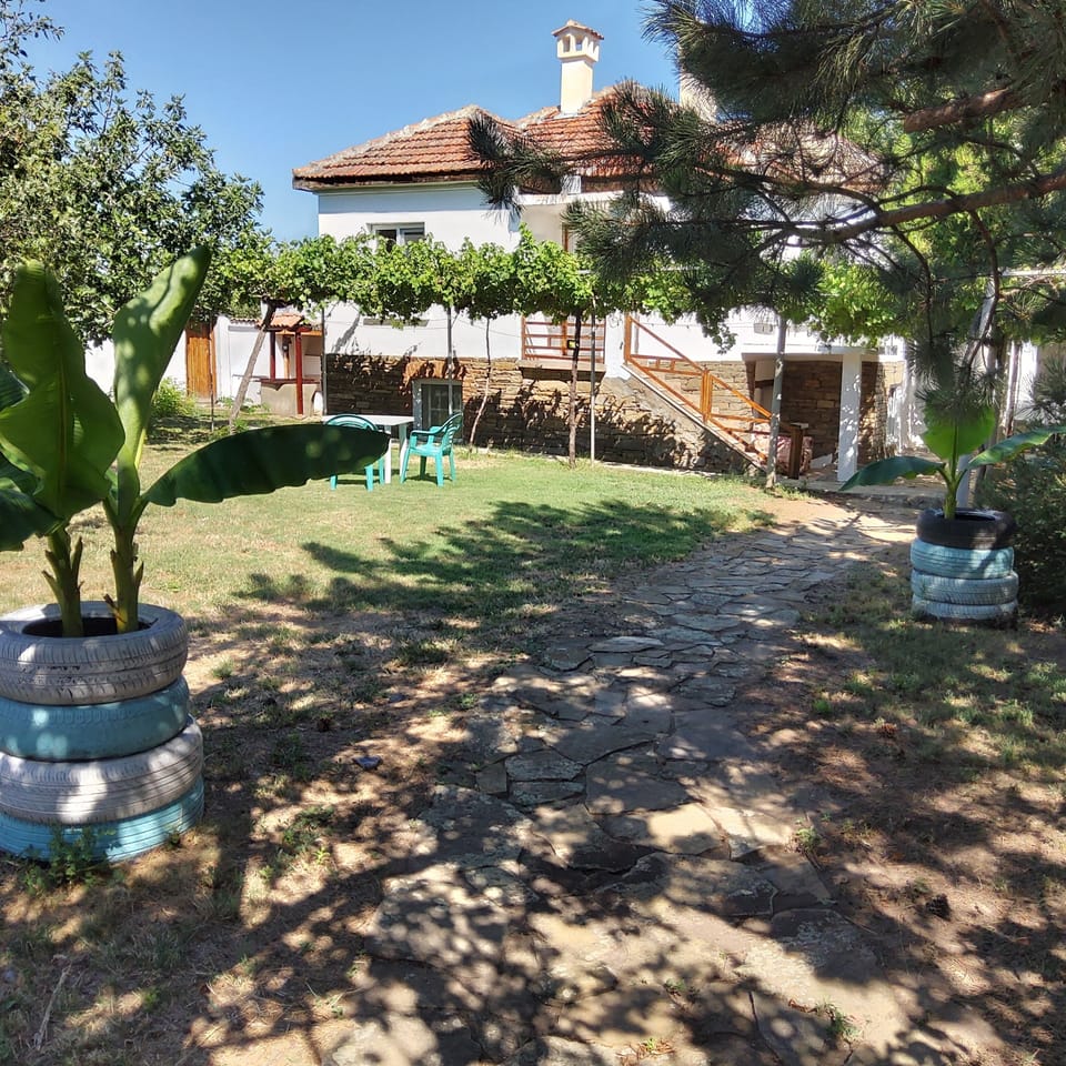 Image 2