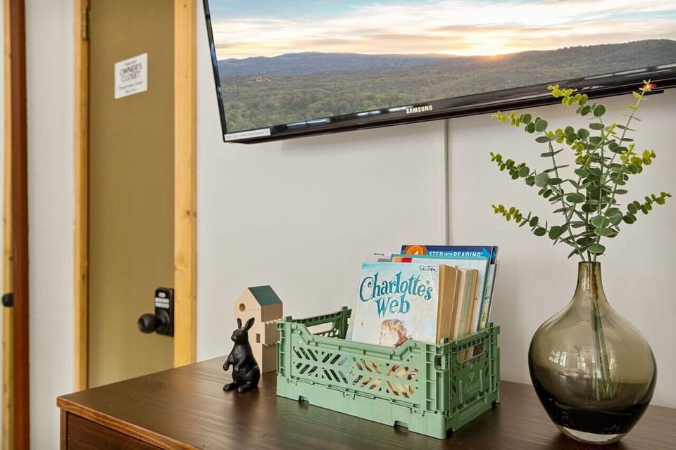 Books for kids featured in the second bedroom.