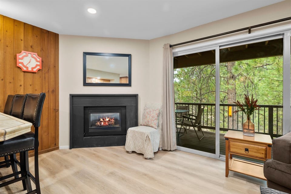 Taking in the views! (fireplace being replaced, not in use, 2.3.26)