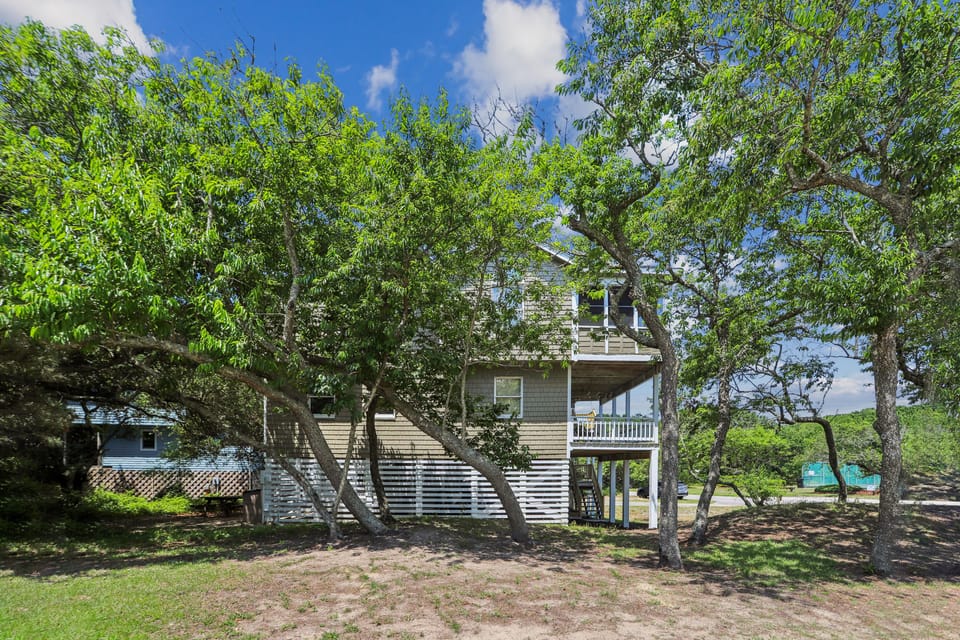 Group,Side Elevation,