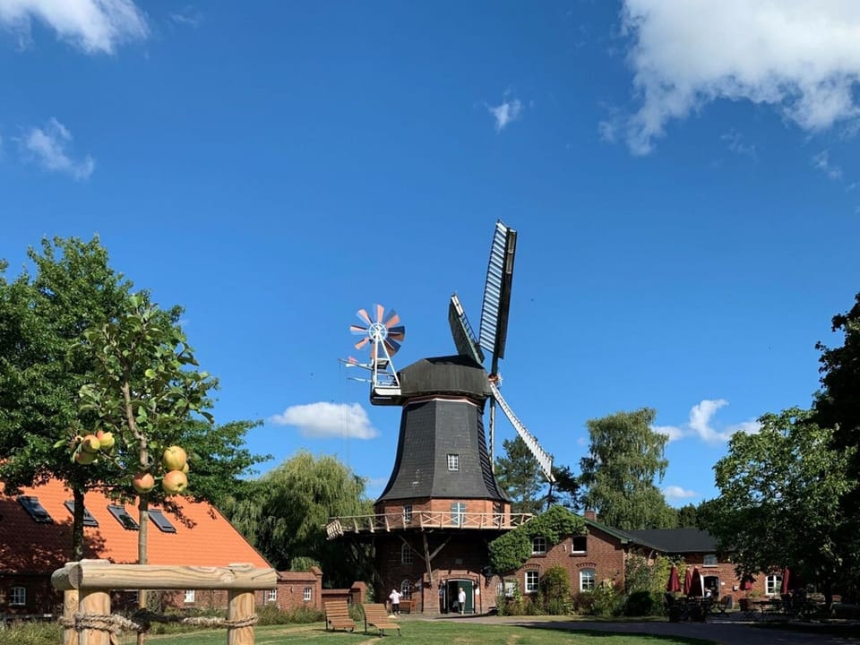 Ferienhaus Seepferdchen House in Schleswig-Holstein