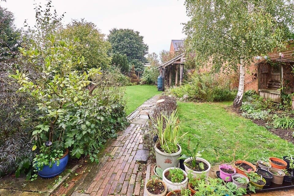 The Cabin, Canterbury - Host & Stay