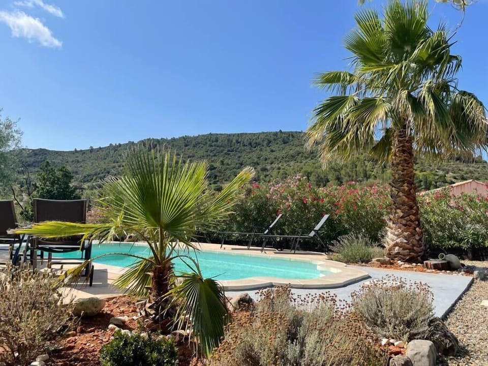 Piscine et jardin