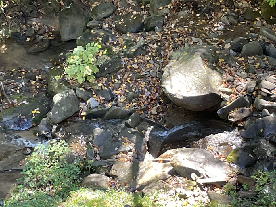 Picture taken from the balcony of the mountain stream