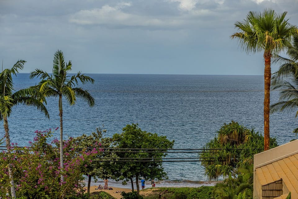 Views of the miles of beaches just across the street
