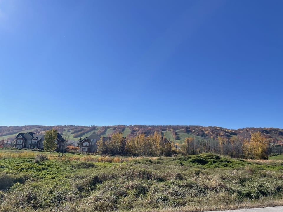 Mountain views