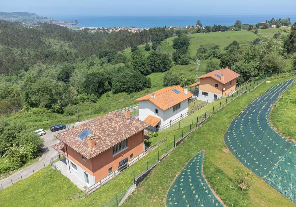 Property building,Bird's eye view
