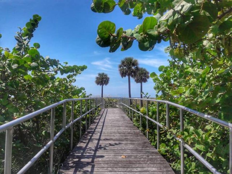 Your Path to Paradise...
